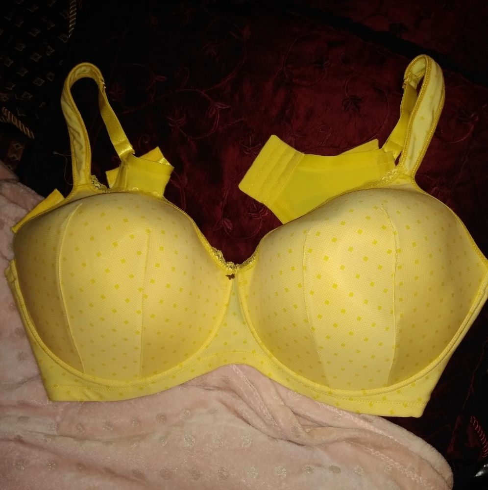 Ashley Stewart Butterfly Bra size 46F